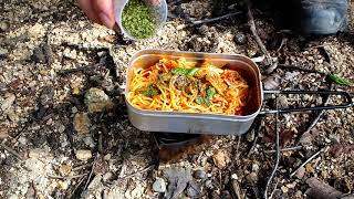 Into the woods  Trangia mess tin cooking tomato pasta [upl. by Tnahsarp650]