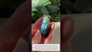 labradorite moth craving b crystal if interested click bio crystalshop crystalmagic crystals￼ [upl. by Ilellan]