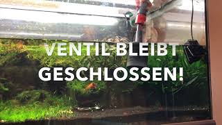 Aquarium Wasserwechsel leicht gemacht [upl. by Ahsinoj]