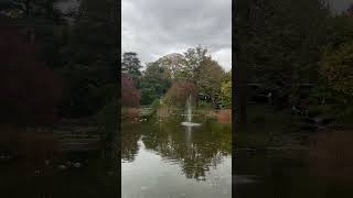 Germany  Bad Honnef schorts europe autumn nature travel 2024 relaxing vibes [upl. by Urdna]