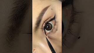 Mastering Eyeliner for Beginners  Nightliner DailyEyeMakeup shorts makeuptutorial [upl. by Oiril]