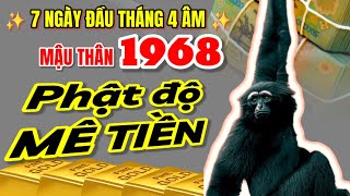 Chúc mừng Mậu Thân 1968  Tử vi 7 ngày đầu tháng 4 âm PHẬT ĐỘ  Giàu lên chóng mặt Mê tiền [upl. by Joey]