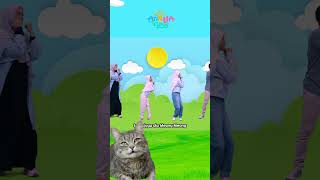 Sudah Rilis ya Meong Meong Kucing Laper  Arinaga Family Shorts musikpositif kucing [upl. by Hplodur474]