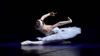 🦢 Svetlana Zakharova  The Dying Swan 🩰 [upl. by Ellevehs414]