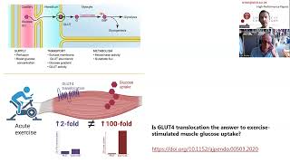 Podcast with Prof Erik Richter  Exercise GLUT4 and skeletal muscle glucose uptake [upl. by Jeggar446]