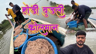 होडी बुडली कोलमान  transparent 🦐 prawn species fishing Mumbai India fishing [upl. by Yob13]