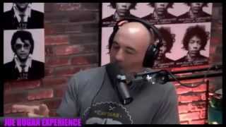 Joe Rogan on GamerGate GamerGate [upl. by Augy354]