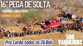 500 Vaqueiros na 16° Pega de boi no mato Fazenda Santa Rita Canindé Cê Org junior Citó Neto Citó [upl. by Rodama]