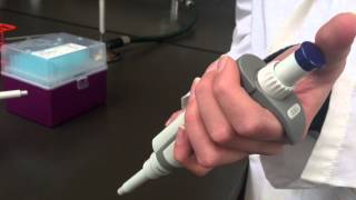 How to Practice Proper Pipetting Technique [upl. by Sinegold]