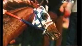 Secretariat Tribute [upl. by Houghton16]