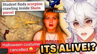 TikTok Is Exposing Shein For Sending SCORPIONS In Their Packages…  Haylo Hayley React [upl. by Innek]