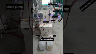 Parts of Dialysis machine nephrologist dialysis dialysisstudy viralshorts kidney [upl. by Quartana244]