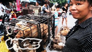 Dining on Dogs in Yulin VICE Reports Trailer [upl. by Pomeroy]