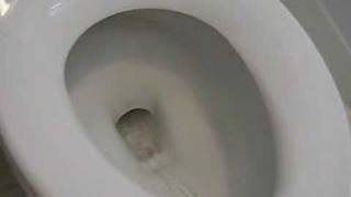 TOTO toilet first look [upl. by Ingles]