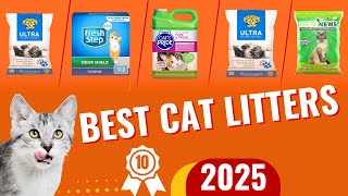 The 10 Best Cat Litters of 2025 [upl. by Ringler]