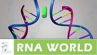 RNA World [upl. by Liponis]