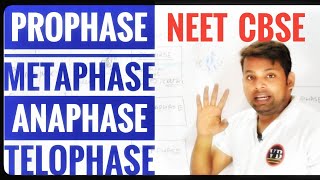 ProphaseMetaphaseAnaphaseTelophase  Meiosis part2  Cell cycle Cell division  Vinay Biology [upl. by Towbin]