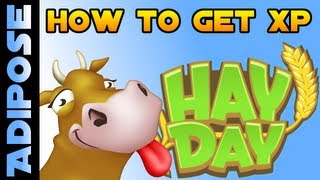 Hay Day Beginners Guide to XP and Levelling Up [upl. by Deeraf]