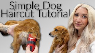 Simple Long Haired Dachshund Haircut Tutorial  Wholy Hair [upl. by Devitt]