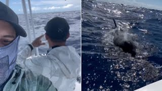 quotFue algo muy impresionantequot pescador narra encuentro cercano con ballenas orcas cerca de Isabela y [upl. by Steven]