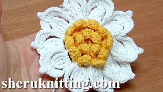 Crochet Flower with Ruffled Center and 10 Petals HowTo CROCHET FLOWER [upl. by Haskell891]