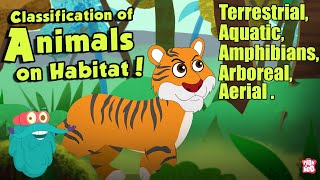 HABITAT OF ANIMALS  Classification Of Animals On Habitat  The Dr Binocs Show  Peekaboo Kidz [upl. by Dagmar196]