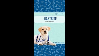 GASTRITE NEL CANE [upl. by Furgeson]