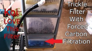 forced CARBON design ShowerTrickle filter for Koi Ponds plus some tips and tricks [upl. by Teferi]