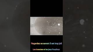 Là normalement dans Cette eau il doit y avoir un truc secret [upl. by Anada510]