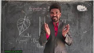 RESPIRATION IN PLANTS  10 th Class  Bio Science  General Studies  For Competitive Exams [upl. by Ossie]