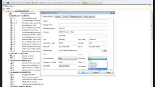 Working Papers Engagement Properties Tax Settings [upl. by Caitlin]