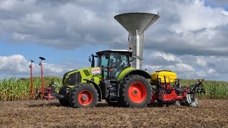 Claas Axion 800 amp Asterix diepwoelerzaaicombi  LMB Buysse [upl. by Crist58]