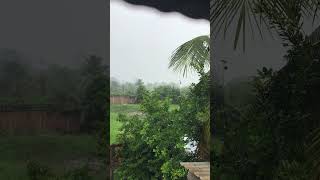 Raining views behind of my home 🏡 🌴🌧 [upl. by James]