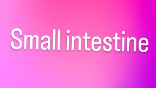 small intestine and their functions viral trending youtube [upl. by Caasi]