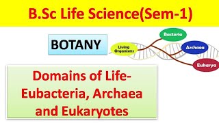 Domains of lifeEubacteria Archaea and Eukaryotes [upl. by Sillihp422]