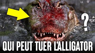 5 Animaux Qui Pourraient Vaincre Un ALLIGATOR [upl. by Merow]