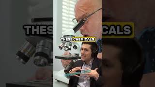 The Hidden Truth Behind Addictive Foods Chemicals and Corruption Exposed  Joe Rogan Experience [upl. by Alekin]