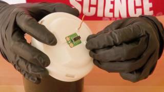 How To Set Up a Microbial Fuel Cell  Science Project [upl. by Dhu]