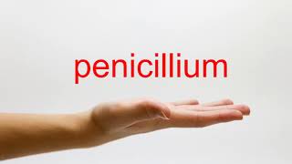 How to Pronounce penicillium  American English [upl. by Areivax582]