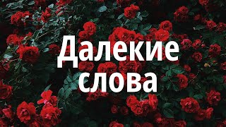 Måneskin  Le parole lontane Перевод на русский 🌹 [upl. by Leumek185]