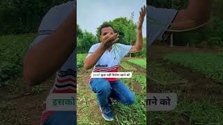 कैसे पाएं मोथा घास से छुटकारा  Get rid from nutgrass [upl. by Annohsat]