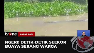 Pria Sedang Mancing Ikan di Sungai Diterkam Buaya  Kabar Pagi tvOne [upl. by Esenahs772]