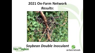 2021 Soybean Double Inoculant Results [upl. by Tannenbaum]