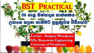 BST ll පැල නිෂ්පාදන තාක්ෂණය 1උපාංග හඳුනා ගැනීමට පුහුණුවන වීඩියෝව ll රංජන වීරකෝන් [upl. by Skipp420]