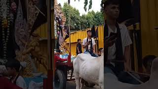 Andheri to Khar Road station Vlog Videovlog Maharashtra DurgaPuja theme [upl. by Bee990]