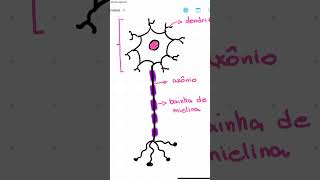 Mapa mental de Tecido Nervoso 🧠 [upl. by Retxed]