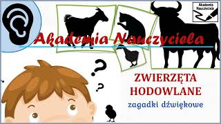 1 GODZINA  Zwierzęta  Zagadki dla dzieci 🐶🐷🐹 [upl. by Zetnahs47]