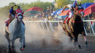 Carreras de Caballos en Cumpas 29 de Abril 2023 [upl. by Yasdnyl]