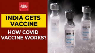 How Covishield Covaxin amp Pfizers Covid Vaccine Work  Coronavirus Update  India Today Exclusive [upl. by Kristopher]