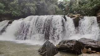 Waterfalls in Sakleshpur ❤️ [upl. by Lrat]